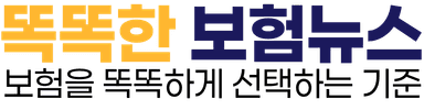 똑똑한보험